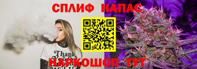 хмурый Краснознаменск